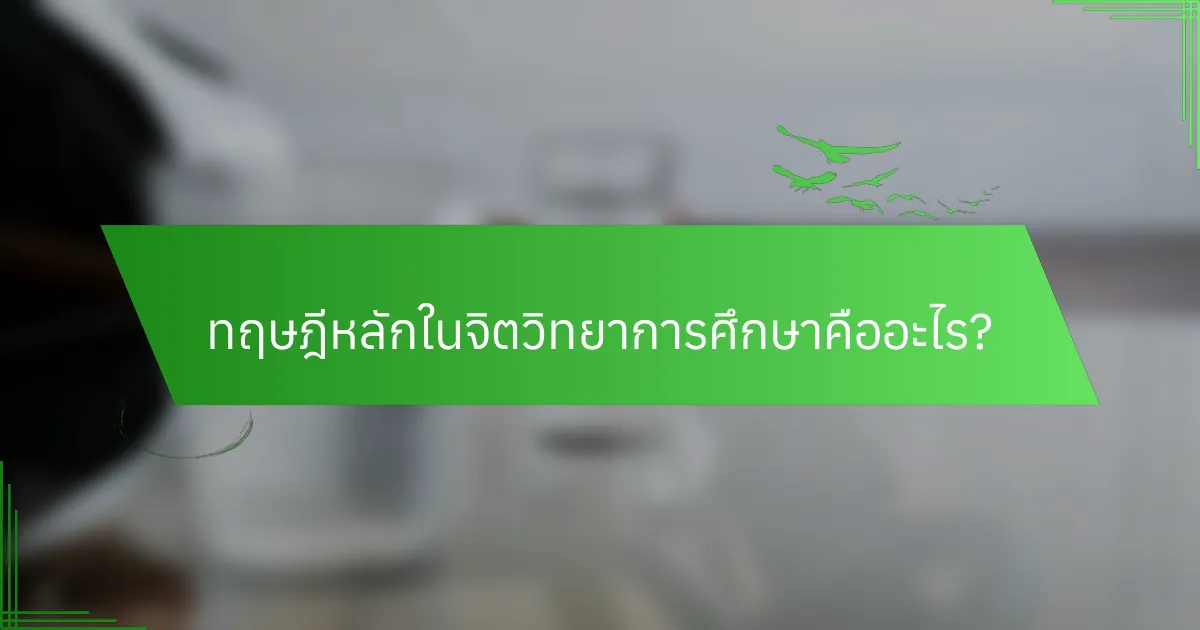 ทฤษฎีหลักในจิตวิทยาการศึกษาคืออะไร?